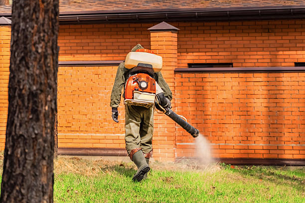 Trusted Ant Control service in Kingsland, TX - Nex Pest Control